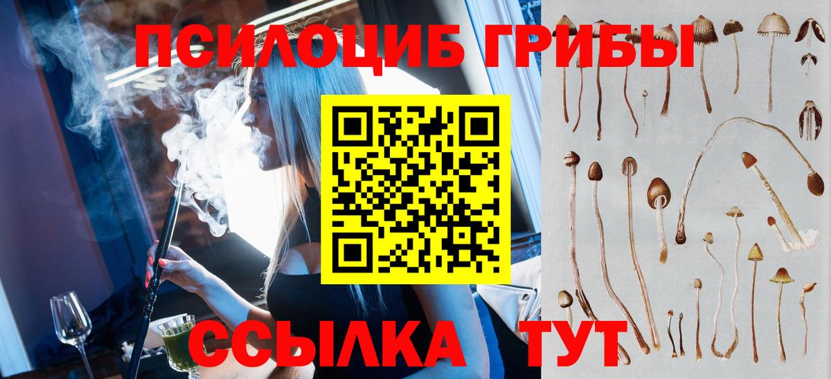 Псилоцибиновые грибы Magic Shrooms  Вход с VPN  Курчалой 