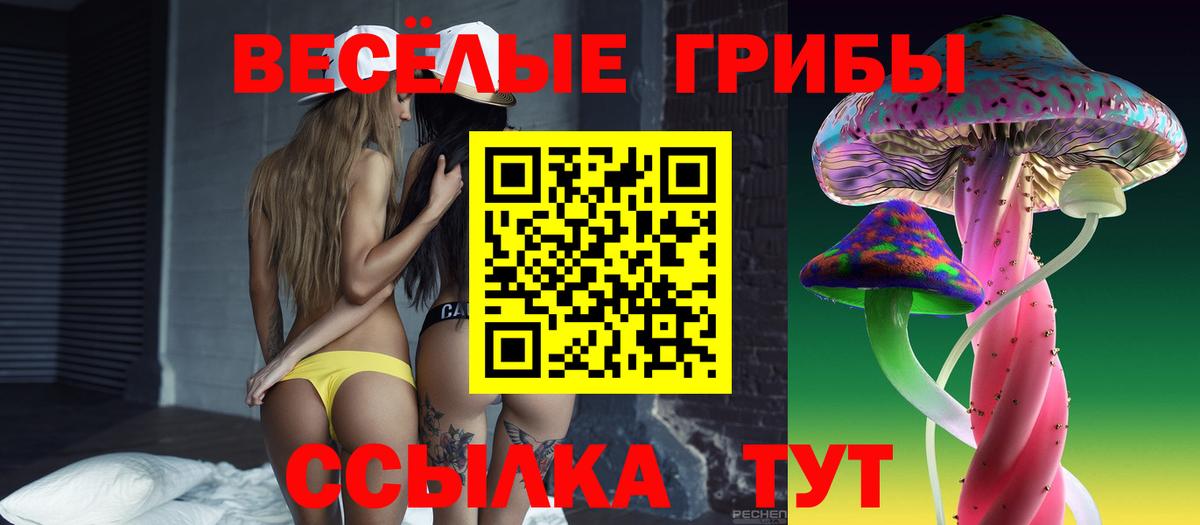 Галлюциногенные грибы Psilocybine cubensis Курчалой